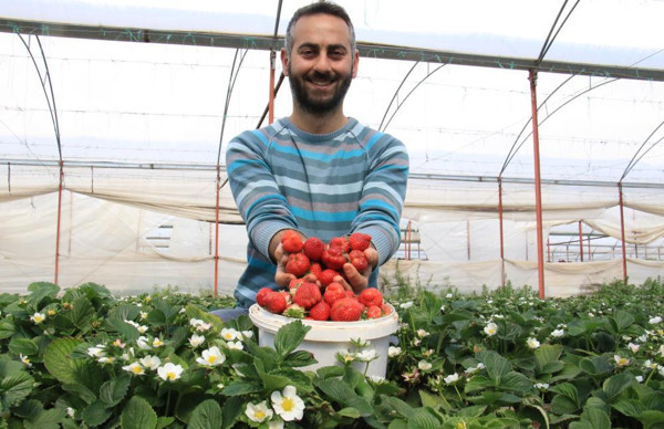 Mersin'de kilosu 30 TL'ye satılıyor! Yılda 150 bin TL kazanıyor: Sipariş yağıyor - Resim: 0