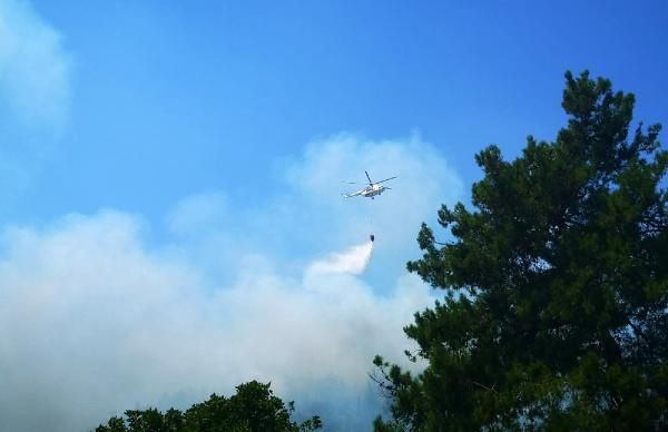 Antalya'da orman yangını! Yangında 1.5 hektarlık alan zarar gördü - Resim: 3