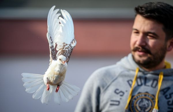 Bursa'da ölmek üzereyken kurtardı ünü Türkiye'ye yayıldı: Zibidiyi herkes merak edip, görmek istiyor - Resim: 2