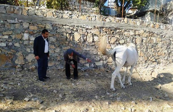 Aydıyaman Gerger'de 6 aylık karantina! Giriş ve çıkışları yasaklandı - Resim: 0