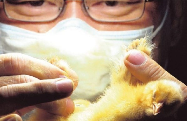 İnsan bunu neden yapar her gün yanına gidip... - Resim: 4