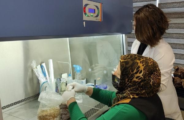 Çay yapılıp içiliyor fiyatını duyan şaştı kaldı! Düzce'de üretildi ekonomiye katkı sağlıyor - Resim: 3