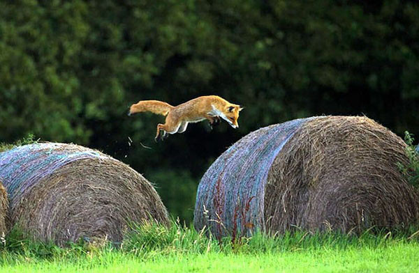 'Yok daha neler' diyeceğiniz anlar! - Resim: 3