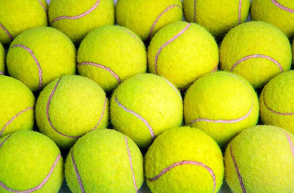 Yaşlı adam elinde poşetle barınağa geldi nedeni ise... Çok şaşıracaksınız - Resim: 3