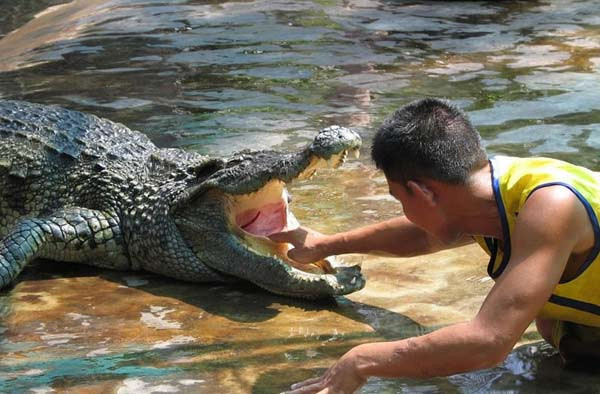 Timsahlarla iç içe yaşam - Resim: 2