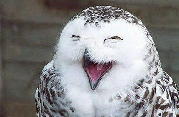 Gülümseyin çekiyorum... - Resim: 3