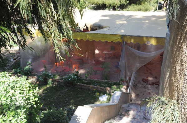 Şam Üniversitesi'nde kanlı gün:15 ölü - Resim: 4