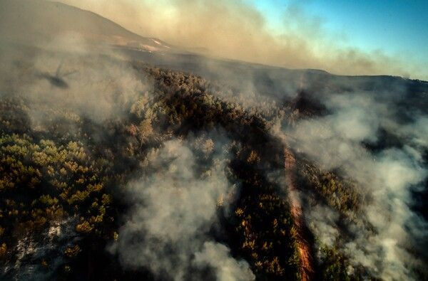 Muğla Marmaris'te yürek dağlayan kareler! Helikopterden görüntülendi - Resim: 4