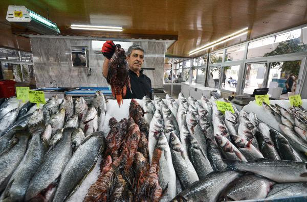 Zehirli ama yok satıyor! Kilosu 150 lirayı buluyor: Herkes onu soruyor - Resim: 0