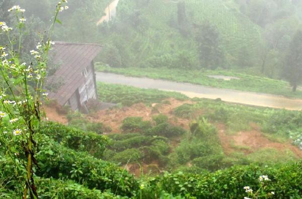 Sel feleketindeki kaçak binanın sahibinden şok savunma! - Resim: 1