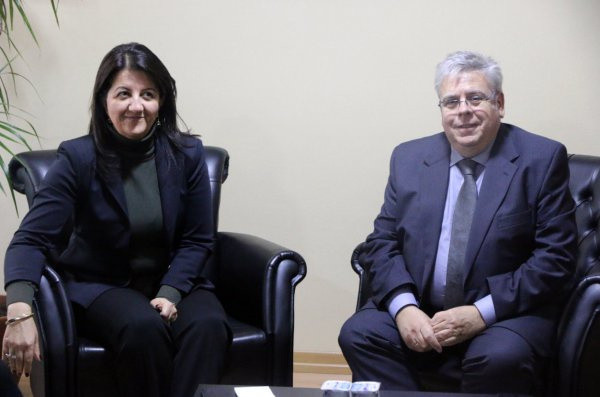 HDP Türkiye'yi kayyumlar ve YPG konusunda Avrupa'ya şikayet etti - Resim: 0