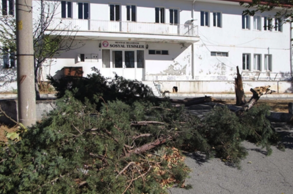 Muğla'da dehşet fırtına! Minarenin külahı koptu, evlerin çatısı uçtu, ağaçlar devrildi - Resim: 3