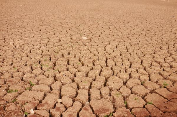 Bu fotoğraf Türkiye'de çekildi! Görenin ağzı açık kalıyor - Resim: 1