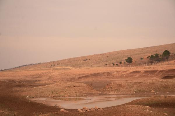 Bu fotoğraf Türkiye'de çekildi! Görenin ağzı açık kalıyor - Resim: 2