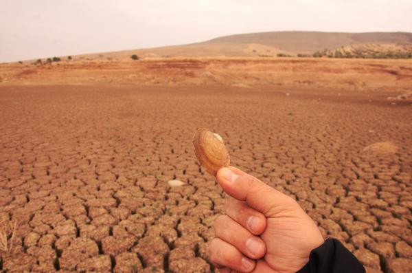 Bu fotoğraf Türkiye'de çekildi! Görenin ağzı açık kalıyor - Resim: 3