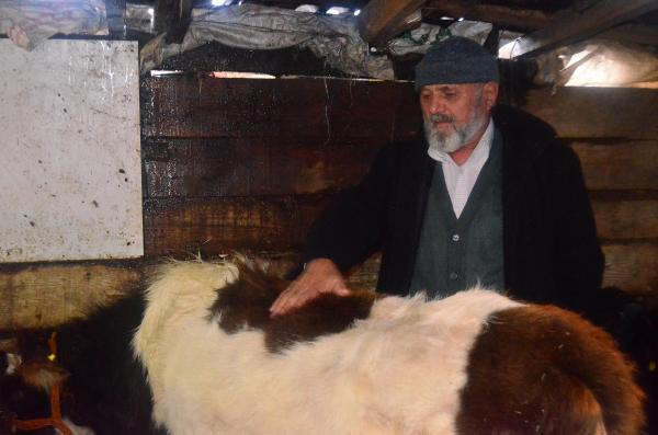 Şoke eden olay: Spreyle bayıltıp elektroşok verdiler! - Resim: 2