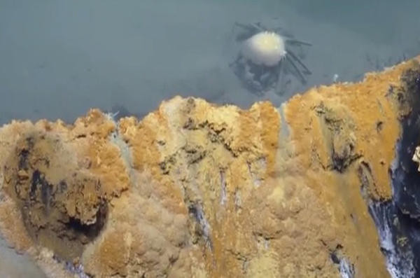 Okyanusun altında ortaya çıktı! Bilim insanları şokta... - Resim: 4