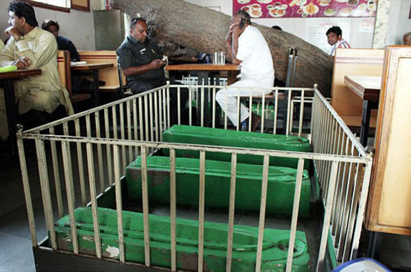 Hindistan'daki tabutlu restorant şaşkınlık yarattı - Resim: 3