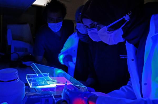 Türkiye'nin ilk 'm RNA' korona aşısında flaş gelişme! BioNTech'in korona aşısıyla aynı - Resim: 3