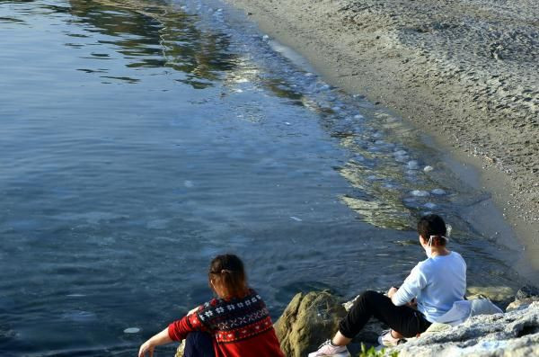 Korkutan görüntü! Avcılar sahilini dev denizanaları istila etti - Resim: 1