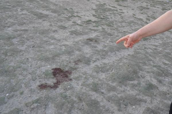 'Yapamam dedim, yap dedi' yazmıştı! Bahriye Buket İlhan’ın annesinden korkunç iddia - Resim: 1