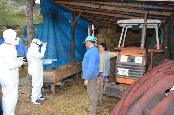 Bilecik Sağlık Müdürü: Vakalar ciddi arttı, filyasyon ekipleri gece saatlerine kadar çalışıyor - Resim: 1