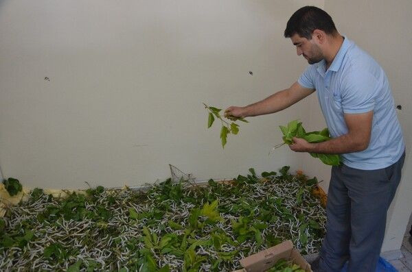 Aylık 7 bin TL kazandırıyor! İmam hatipken görüp İzmir'de bu işe başladı - Resim: 4