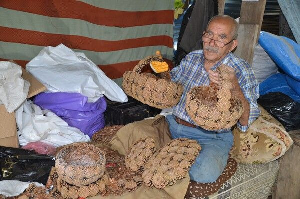 65 ülke arasından birinci oldu! Antalya'da şifa ararken bu işe başladı: Fiyatı duyan inanamadı - Resim: 2