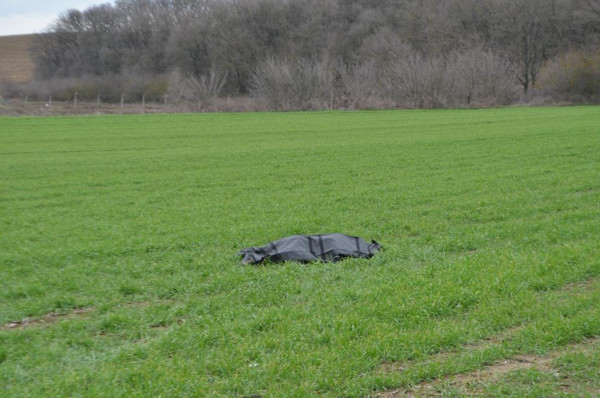 Tekirdağ'da feci kaza! Kamyonet ve otomobil çarpıştı: Ölüler ve yaralılar var - Resim: 0