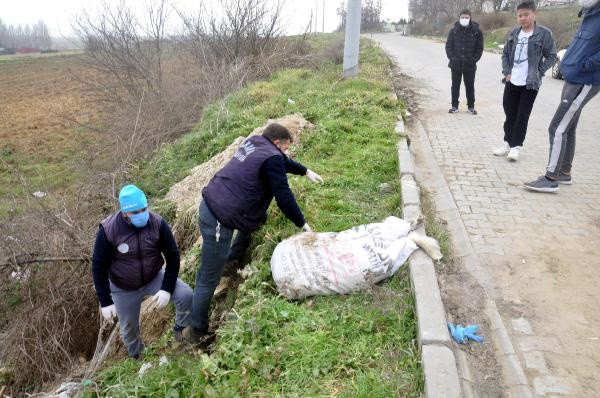 Tekirdağ'da vahşet! Sokak köpeğini ayaklarını bağlayıp koydukları çuvalla dereye atarak, öldürdüler - Resim: 0
