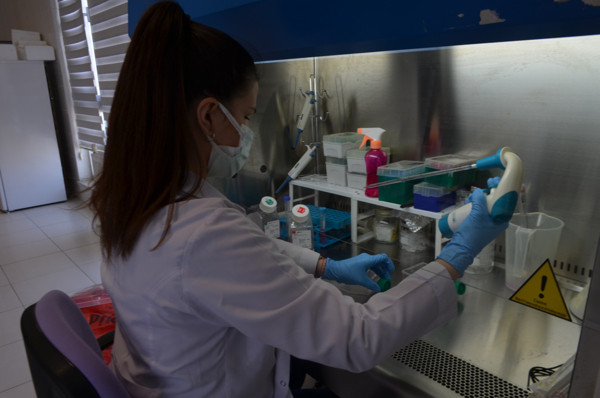 30 yıldır dünyanın sorunuydu! Tekirdağ'dan umutlandıran haber geldi - Resim: 0