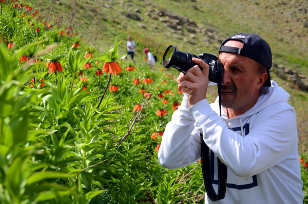 Muş'ta görenler fotoğrafını çekti! Koparmanın cezası 80 bin TL - Resim: 0
