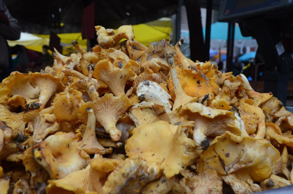 Ordu'da yetiştiriliyor! Talep patladı: Kilosu 40 TL'ye satılıyor - Resim: 0