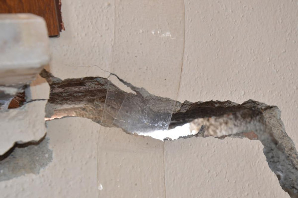 Ordu'da kahvaltı yaparken ses duydu! Eve bakan çift hayatının şokunu yaşadı: Bizleri çok üzdü - Resim: 2