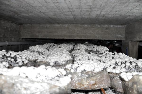 Hobi olsun diye başladı talebe yetişemiyor - Resim: 1