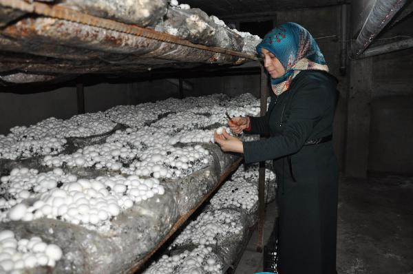 Hobi olsun diye başladı talebe yetişemiyor - Resim: 3