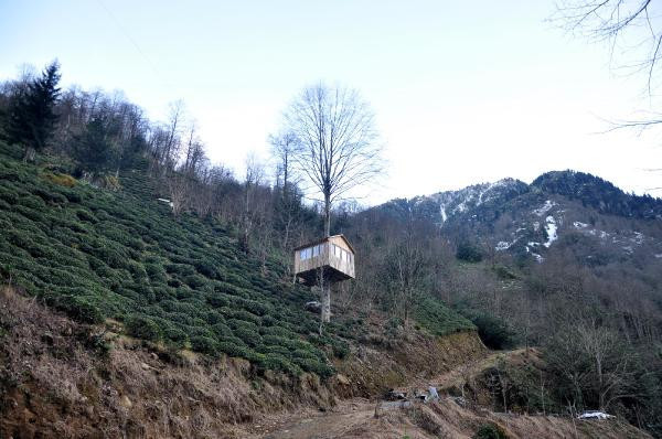Ağacın gövdesine ev yaptı görenler hayran kaldı - Resim: 1