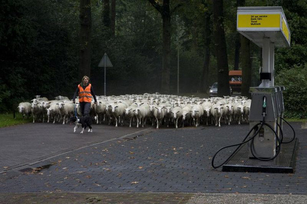 Bu anlar tıklanma rekoru kırıyor - Resim: 1