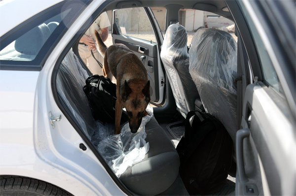 Kuzey Irak'ta Erdoğan heyecanı - Resim: 4