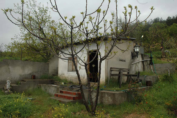 Dört kardeşin ölü bulunduğu o dağ evi  - Resim: 2