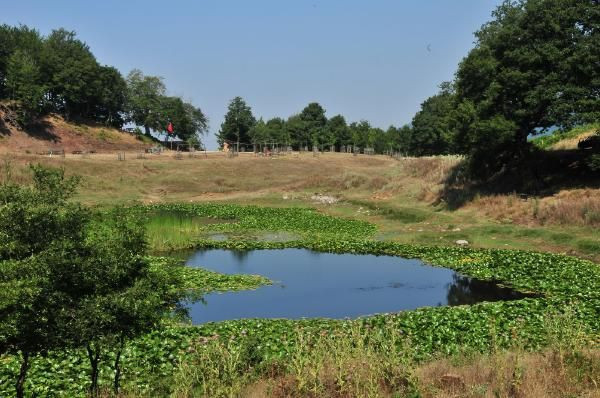 İsyan ettiren görüntü! Karagöl'de bir gram su kalmamış - Resim: 4