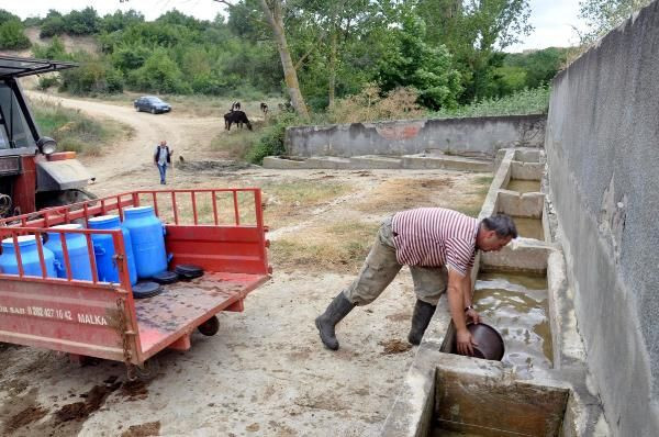 Tekirdağ'da inanılmaz görüntüler! Köylülerin susuzluktan içtikleri su inanılmaz - Resim: 3