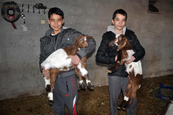 İlk defa böyle bir şey yaşadı! Osmaniye'de şaşırtan olay: Başta oldukça korktum - Resim: 0