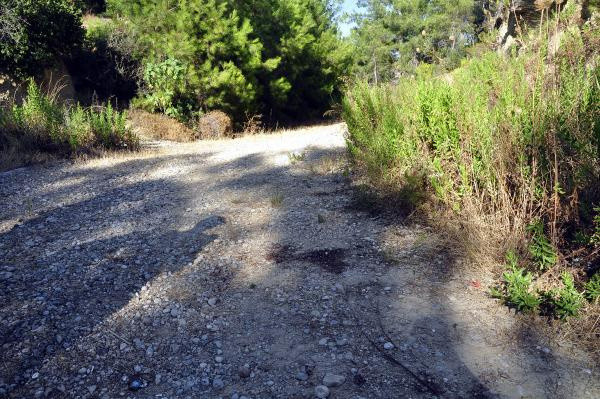 8 yaşındaki kardeşini 27 bıçak darbesiyle öldürdü, 'hatırlamıyorum' dedi - Resim: 1