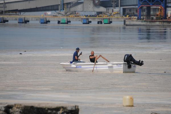 Balıkçılık ve Su Ürünleri Genel Müdürü Mustafa Altuğ Atalay: Müsilajın balık ve midyeye etkisi yok - Resim: 0