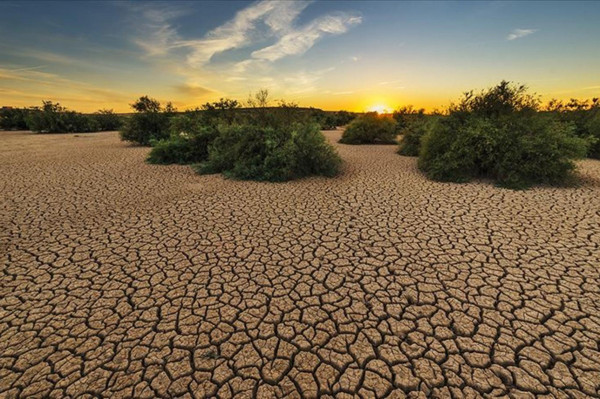 AB Komisyonu yasa paketini sundu! İşte iklim kriziyle kapsamlı mücadele paketi - Resim: 4