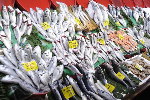 İstanbul'da tezgahlar lüferle doldu! Hamsi, istavrit, palamut cep yakıyor: İşte balık fiyatları... - Resim: 0