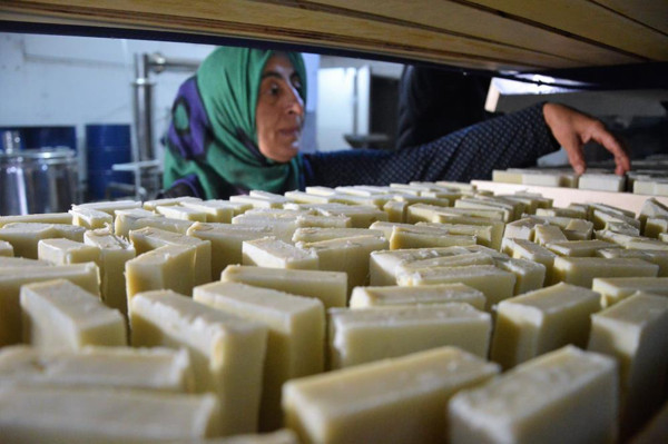 Tokat'ta tanesi 15 TL'den satılıyor genç kızlardan sipariş yağıyor - Resim: 0