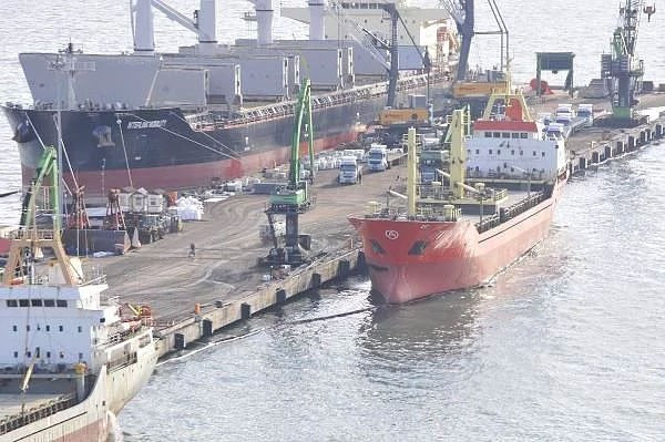 Kocaeli'nde çevre felaketi hayvanlar içler acısı durumda! - Resim: 2