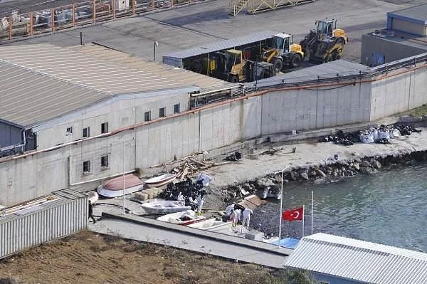 Kocaeli'nde çevre felaketi hayvanlar içler acısı durumda! - Resim: 3